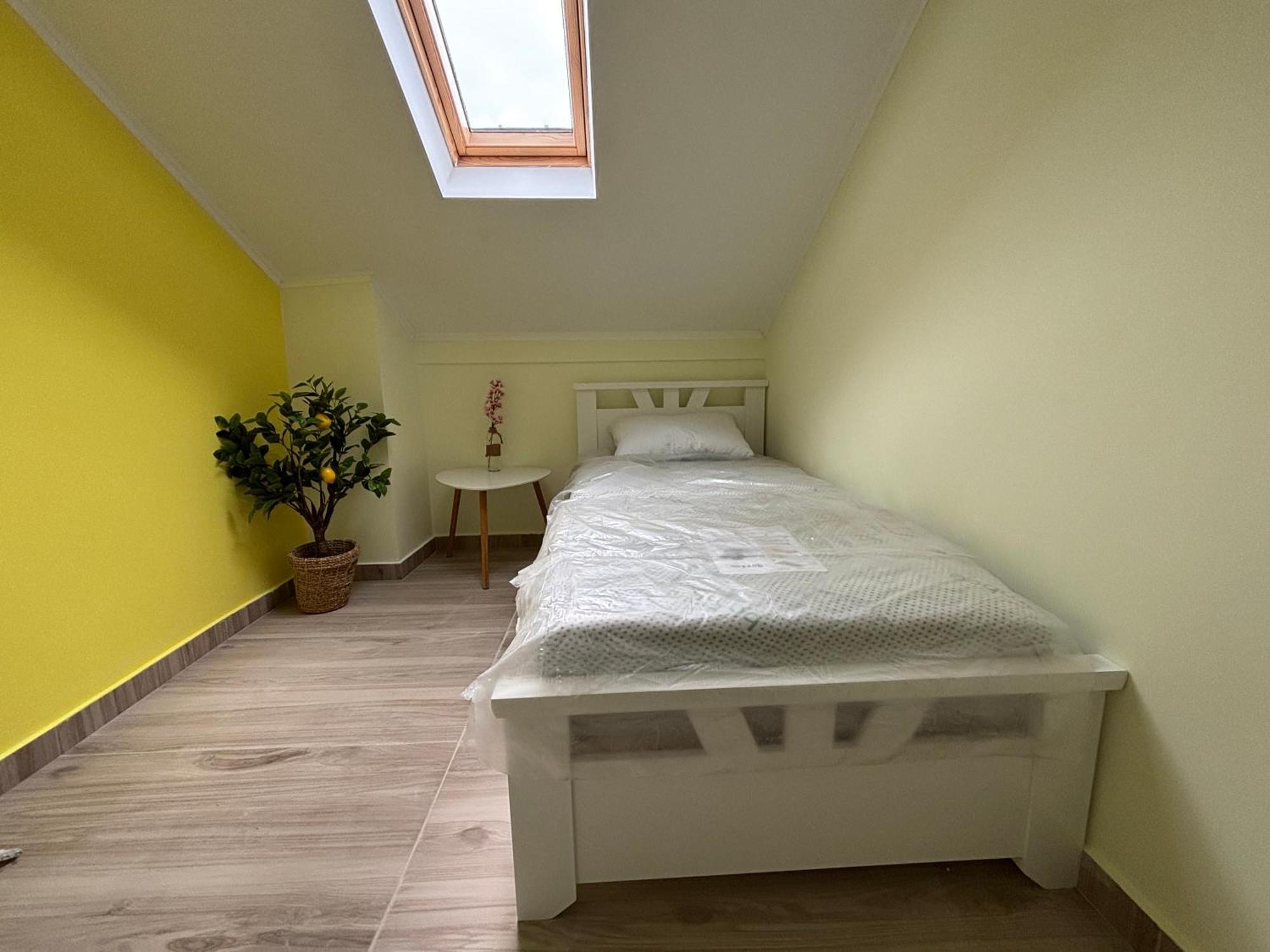 Vuko I Magdalena Midzor Apartment Petrovac Bagian luar foto