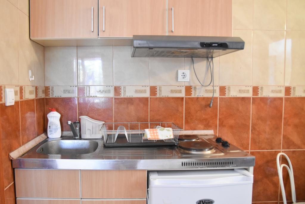 Vuko I Magdalena Midzor Apartment Petrovac Bagian luar foto