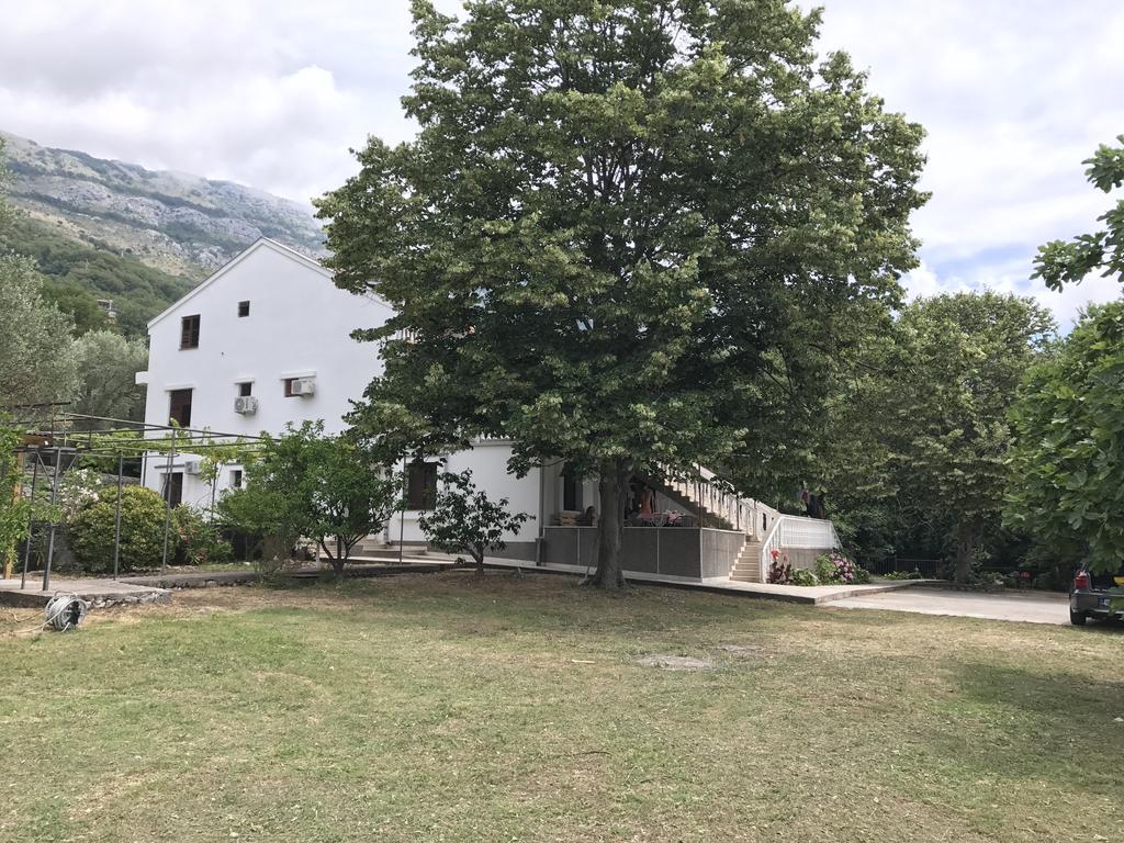 Vuko I Magdalena Midzor Apartment Petrovac Bagian luar foto