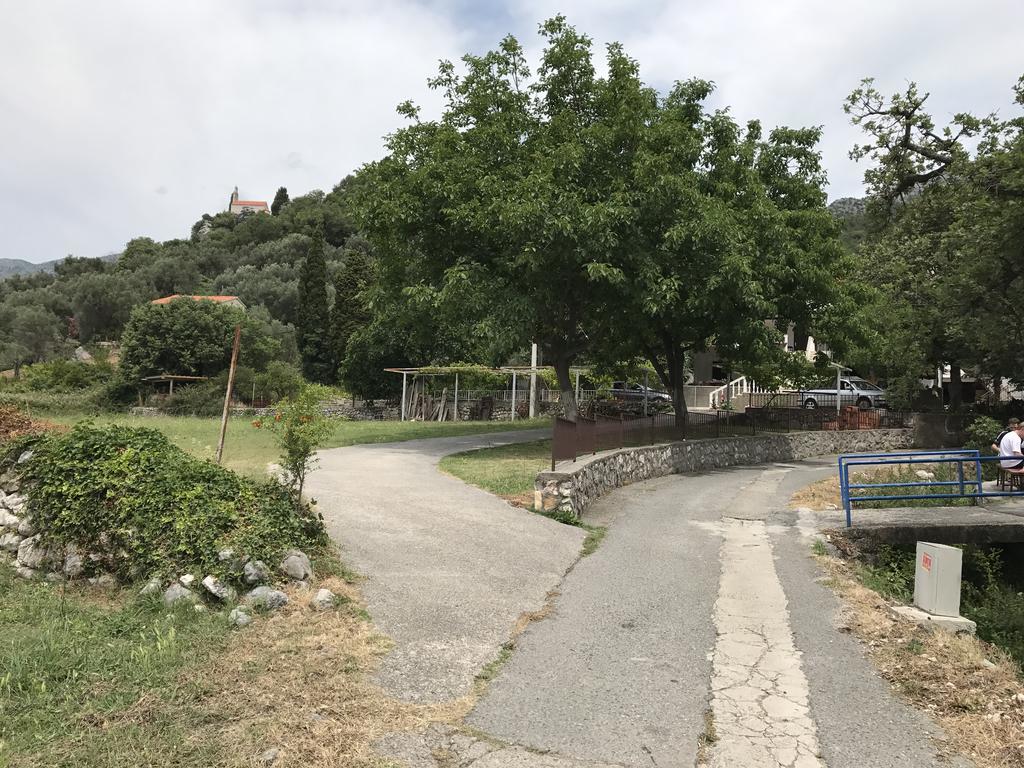 Vuko I Magdalena Midzor Apartment Petrovac Bagian luar foto