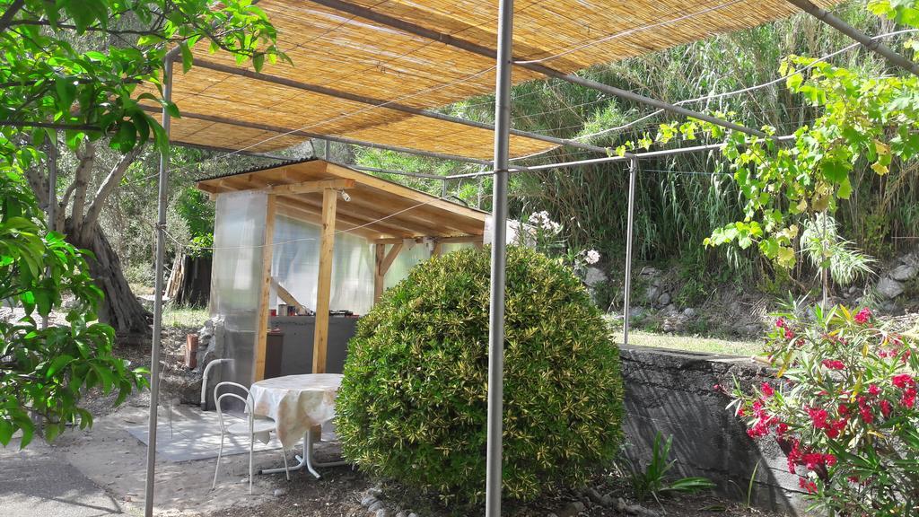 Vuko I Magdalena Midzor Apartment Petrovac Bagian luar foto