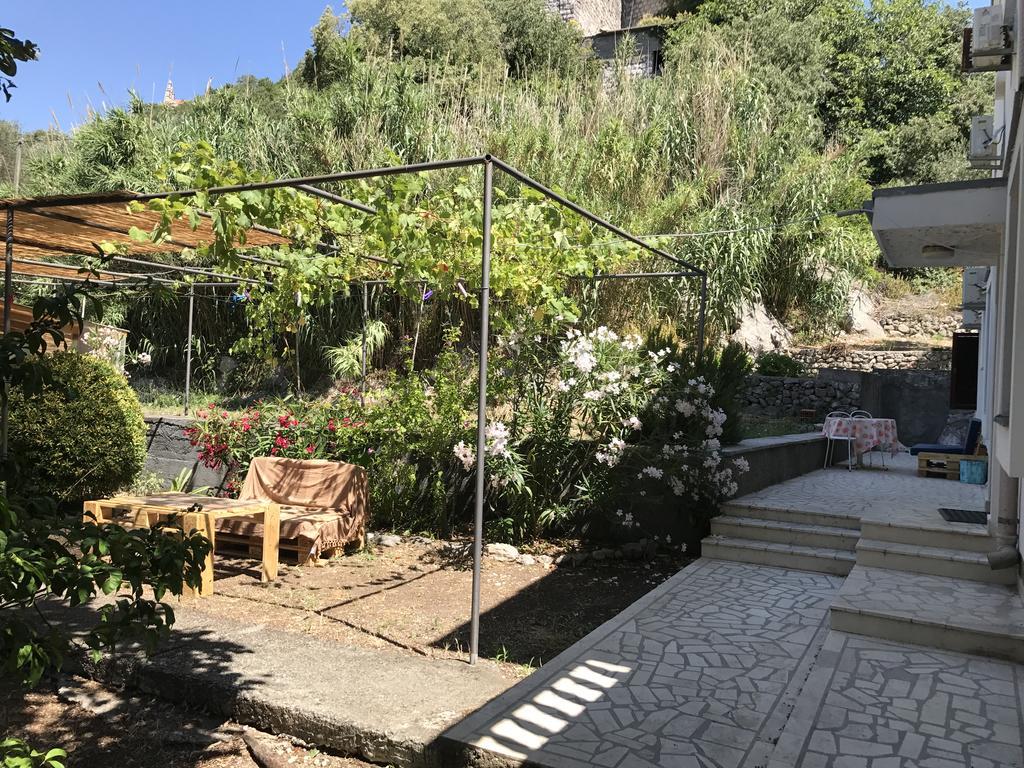 Vuko I Magdalena Midzor Apartment Petrovac Bagian luar foto