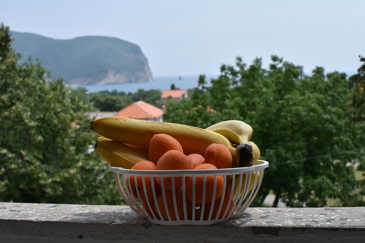 Vuko I Magdalena Midzor Apartment Petrovac Bagian luar foto