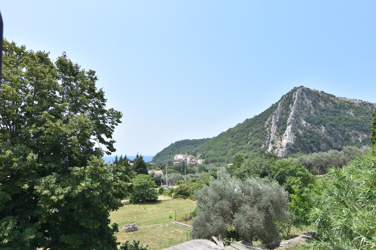 Vuko I Magdalena Midzor Apartment Petrovac Bagian luar foto