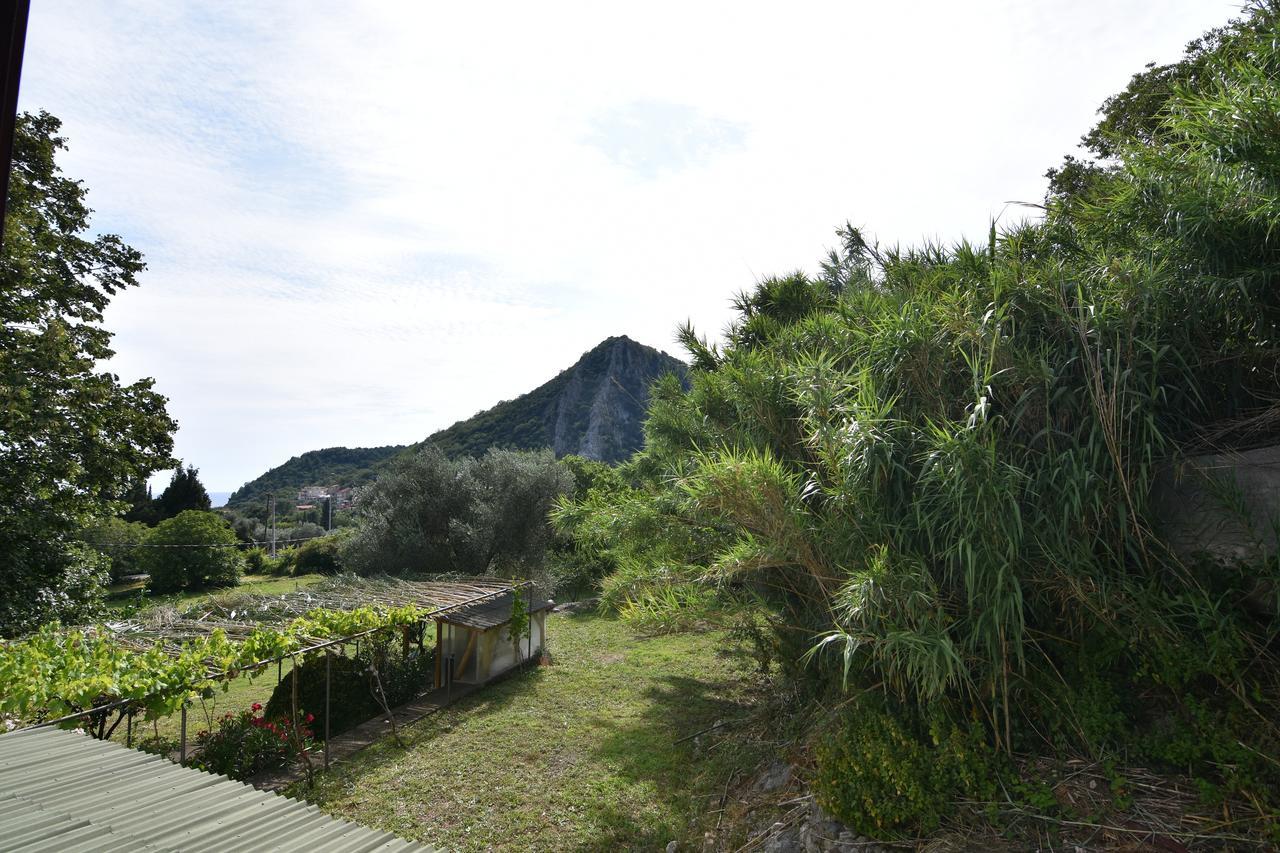 Vuko I Magdalena Midzor Apartment Petrovac Bagian luar foto